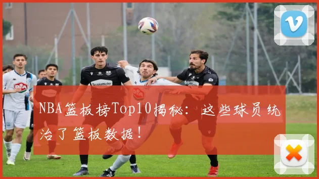 NBA篮板榜Top10揭秘：这些球员统治了篮板数据！