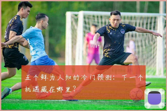 五个鲜为人知的冷门预测：下一个机遇藏在哪里？